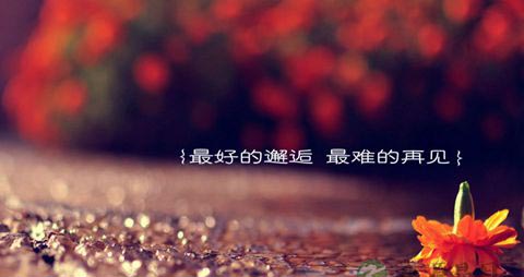 爱情值得等待吗