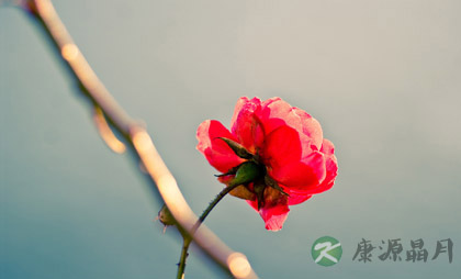 心理平衡才能保证身体健康
