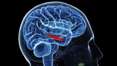 23个小习惯让你成为记忆达人