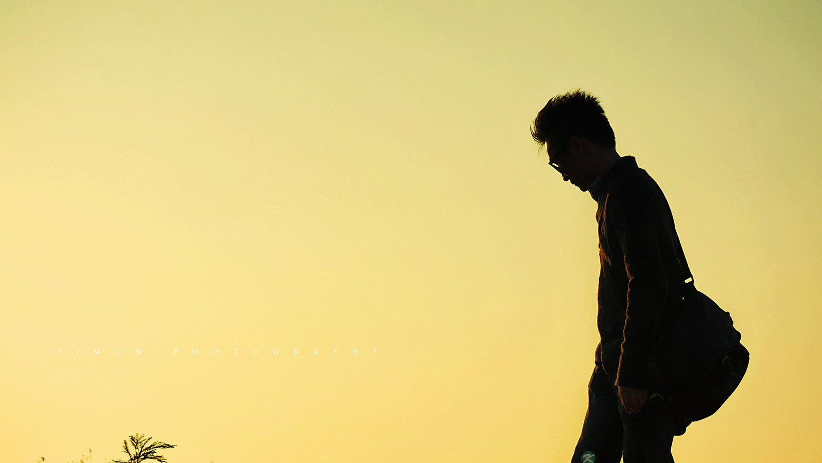 心理学专业毕业，如何选择合适的工作？