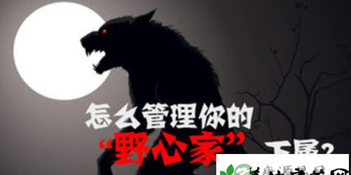 怎么管理你的“野心家”下属?