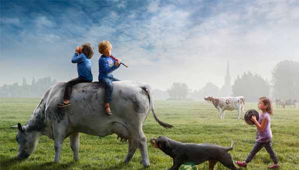 不争，也有属于你的世界