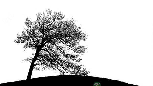 读书：孤独及其所创造的