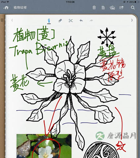 随手涂鸦：提升记忆与专注的有效方法