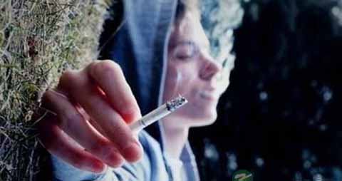 大学生就业的几点指导