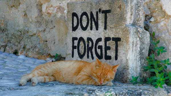 成功没有捷径：还在幻想屌丝逆袭？