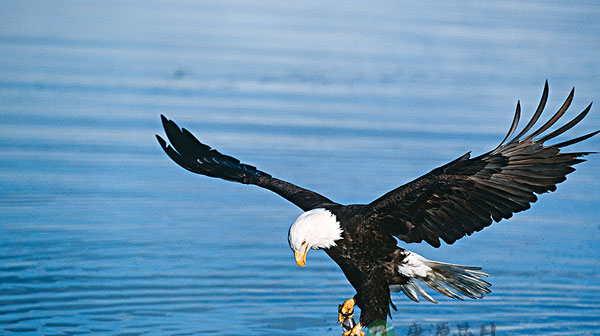 怎样超越你的极限？