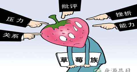 【草莓族频繁跳槽的危害】预防草莓族频繁跳槽