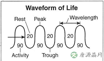 我们每天为什么要工作8小时？