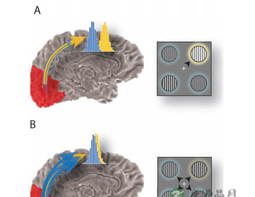 我们每天为什么要工作8小时？