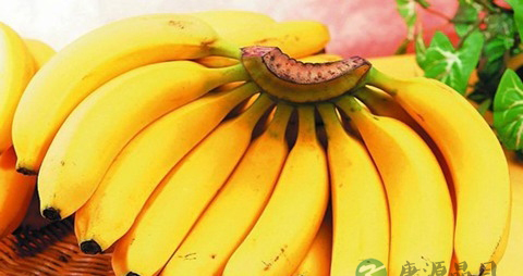 感情压力太大怎么办