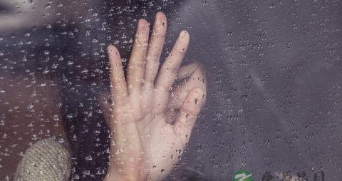 气质的类型有哪些