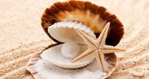 延缓肌肤衰老的中草药有哪些