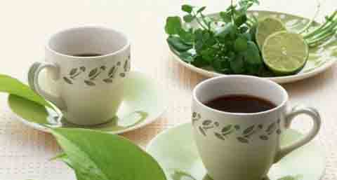 【夏日喝茶有哪些功效】茶的禁忌与注意事项