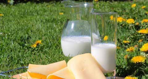 喝牛奶拉肚子可以减肥吗