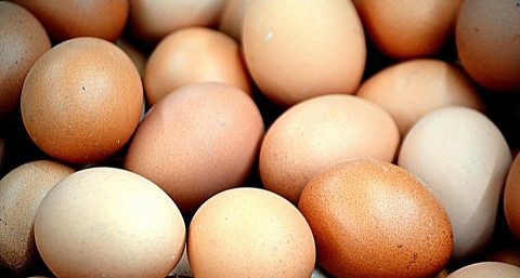 黄瓜鸡蛋减肥吃蛋黄吗