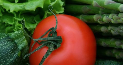 喝番茄叶可以减肥吗