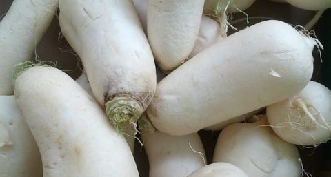 铁观音可以减肥吗