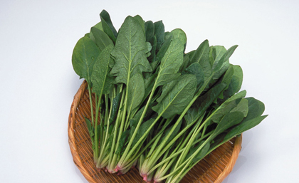 女性减缓衰老绝不能错过的食物