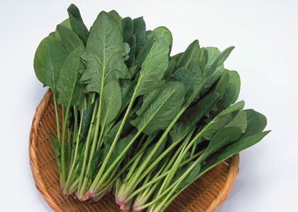 食物对外表影响深远
