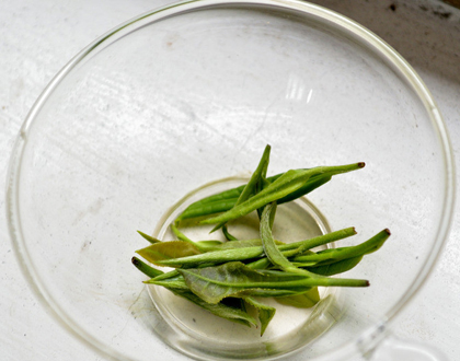 茶叶能洗脸 美白效果好