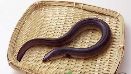 美容养颜：能有效美肤的十种珍藏食物
