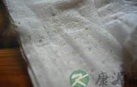 网友示范：小苏打的“扫黑”风暴