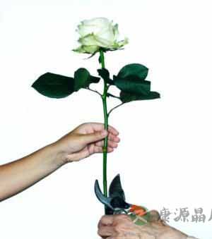 10个外貌细节是显老元凶