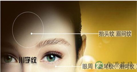 皱纹形成的原因_皱纹是怎么引起的