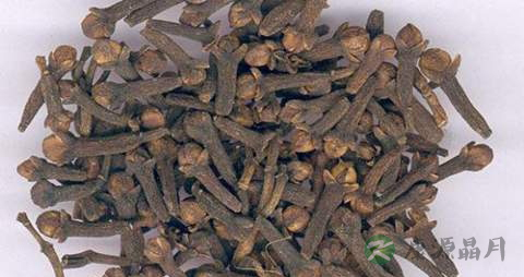 丁香的营养价值_吃丁香的好处