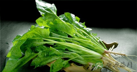 维生素a的食物有哪些