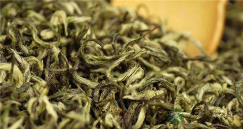 碧螺春是什么茶