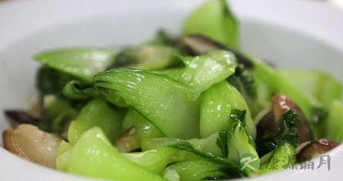 白菜苔的吃法_哪些人不能吃白菜苔