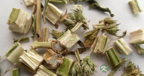 益母草的吃法_哪些人不能吃益母草