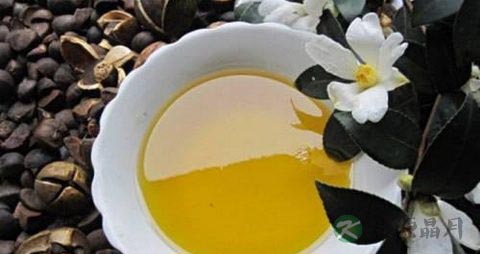茶油的营养价值_吃茶油的好处
