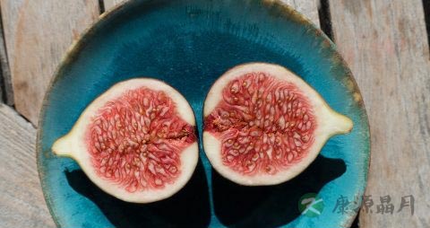 无花果的禁忌