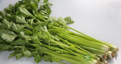 芹菜的营养价值_吃芹菜的好处