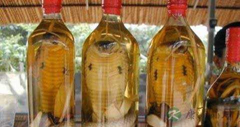五步蛇泡酒配方