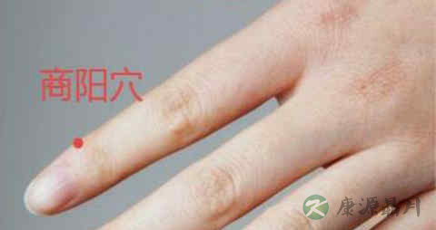 苦丁茶伤肾吗