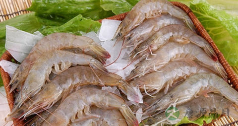 虾怎么去腥味