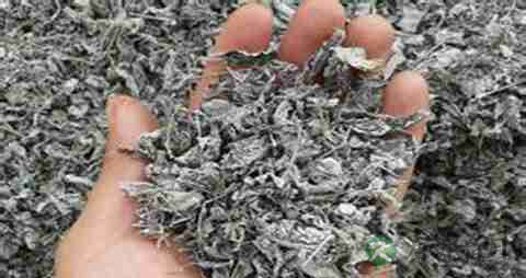 莓茶的营养价值_吃莓茶的好处