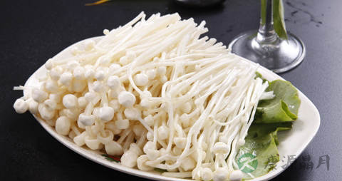 金针菇做菜要焯水吗