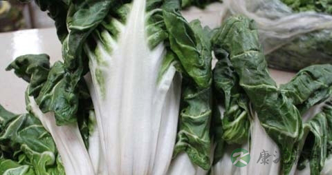 厚合菜不能与什么同食
