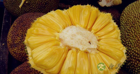 菠萝蜜怎么剥