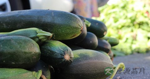 茭瓜的吃法_哪些人不能吃茭瓜 茭瓜的吃法_哪些人不能吃茭瓜