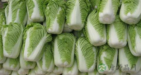 大白菜的营养价值_吃大白菜的好处