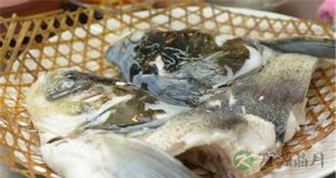 鲢鱼头的营养价值_吃鲢鱼头的好处