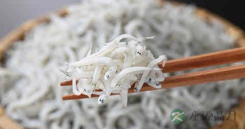 丁香鱼的营养价值_吃丁香鱼的好处