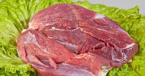 野猪肉的吃法_哪些人不能吃野猪肉