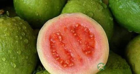 番石榴怎么看熟没熟